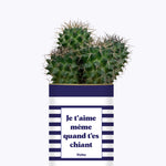 Je t'aime même quand t'es chiant - Cactus