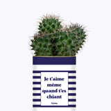 Je t'aime même quand t'es chiant - Cactus