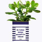 Je t'aime même quand t'es chiant - Cactus