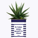 Je t'aime même quand t'es chiant - Cactus