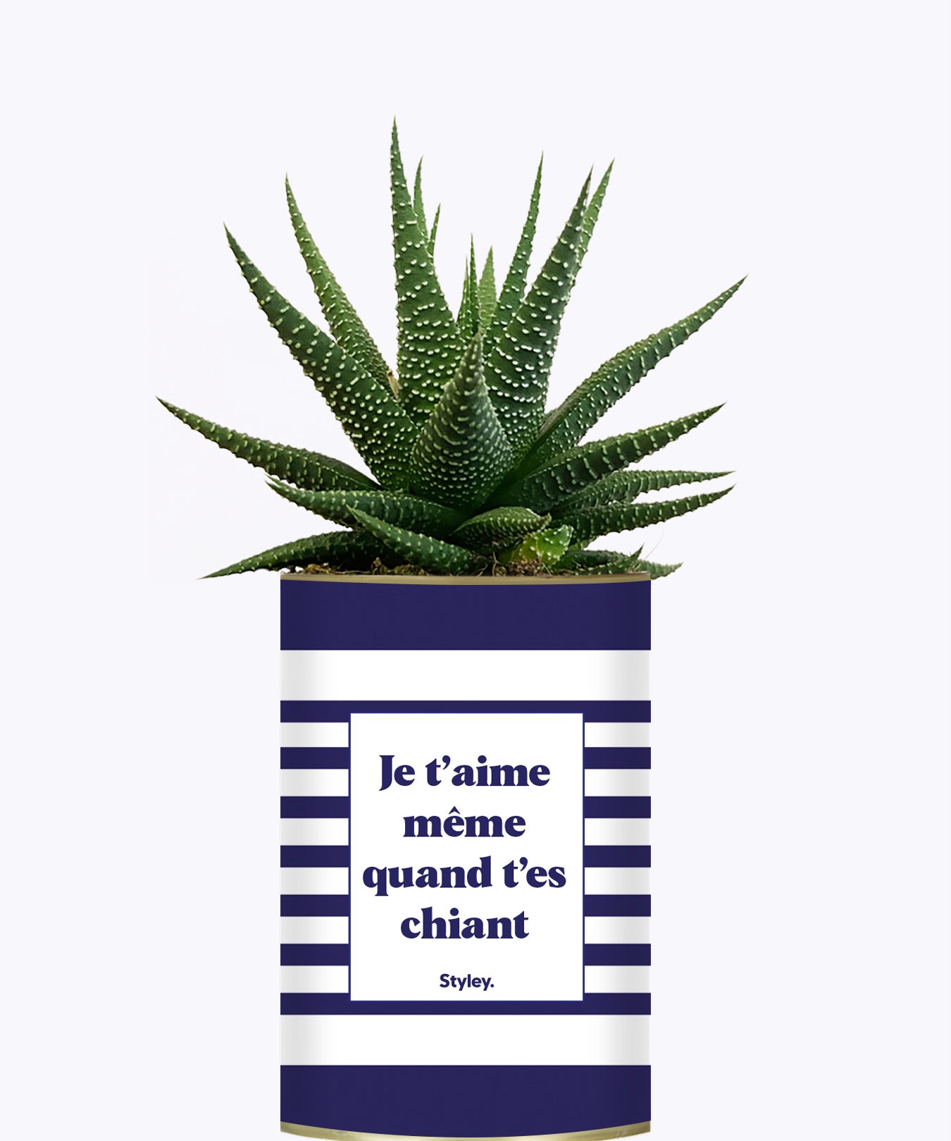 Je t'aime même quand t'es chiant - Cactus