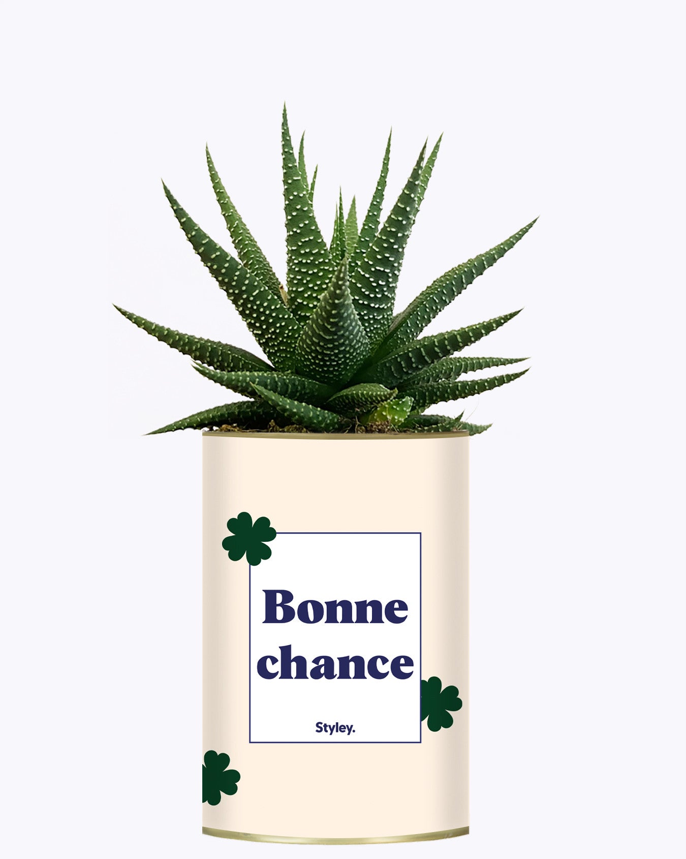 Bonne chance - Cactus