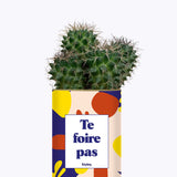 Te foire pas - Cactus