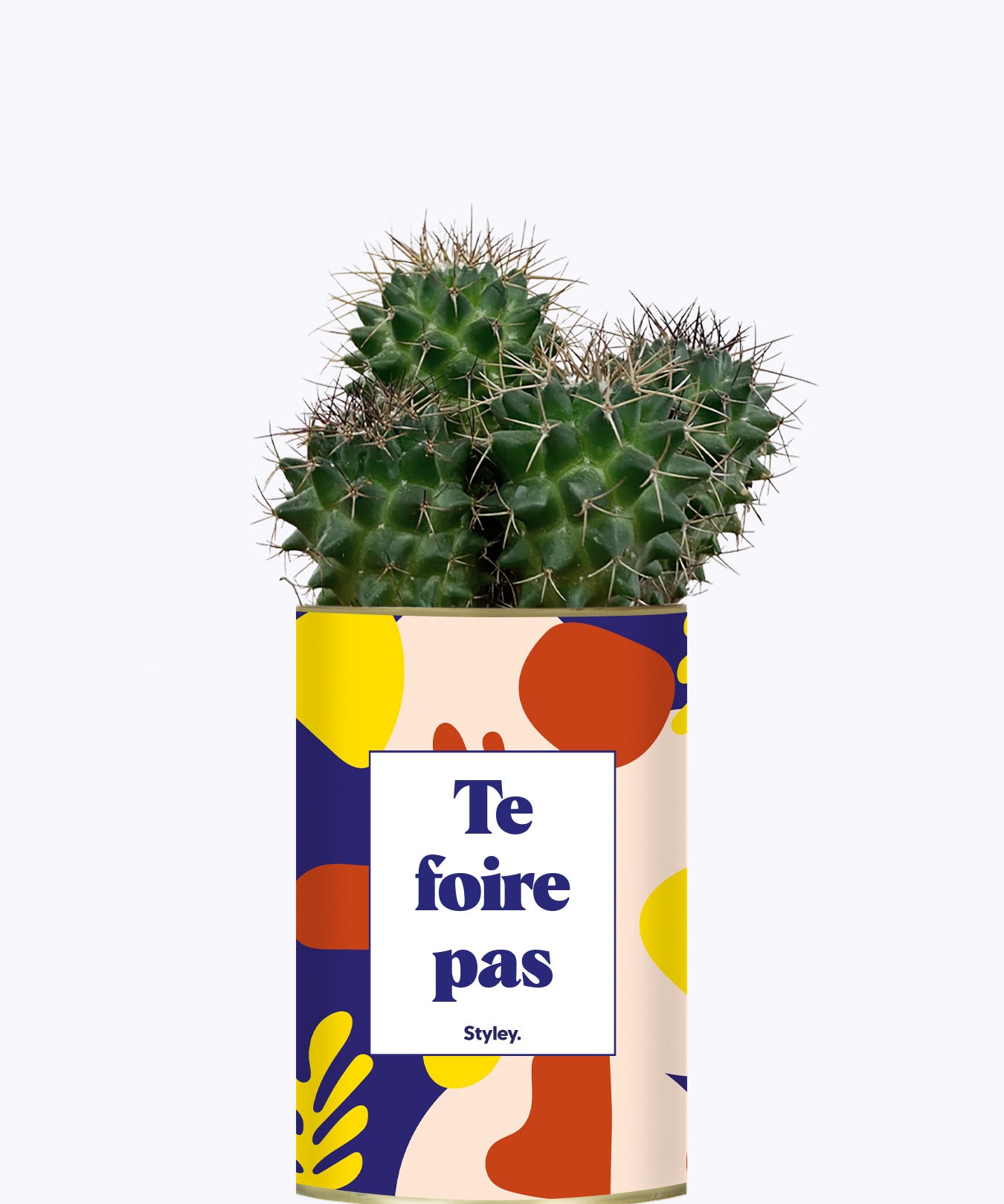Te foire pas - Cactus