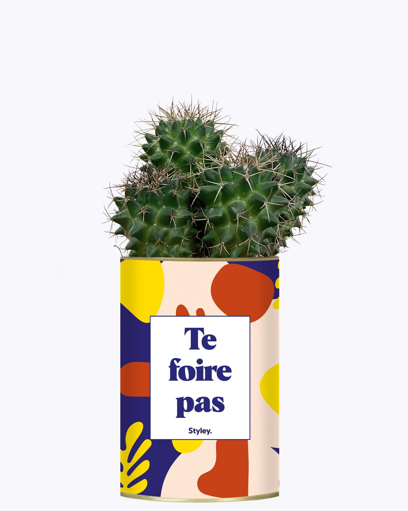 Te foire pas - Cactus