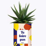 Te foire pas - Cactus
