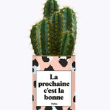 La prochaine c'est la bonne - Cactus