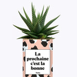 La prochaine c'est la bonne - Cactus