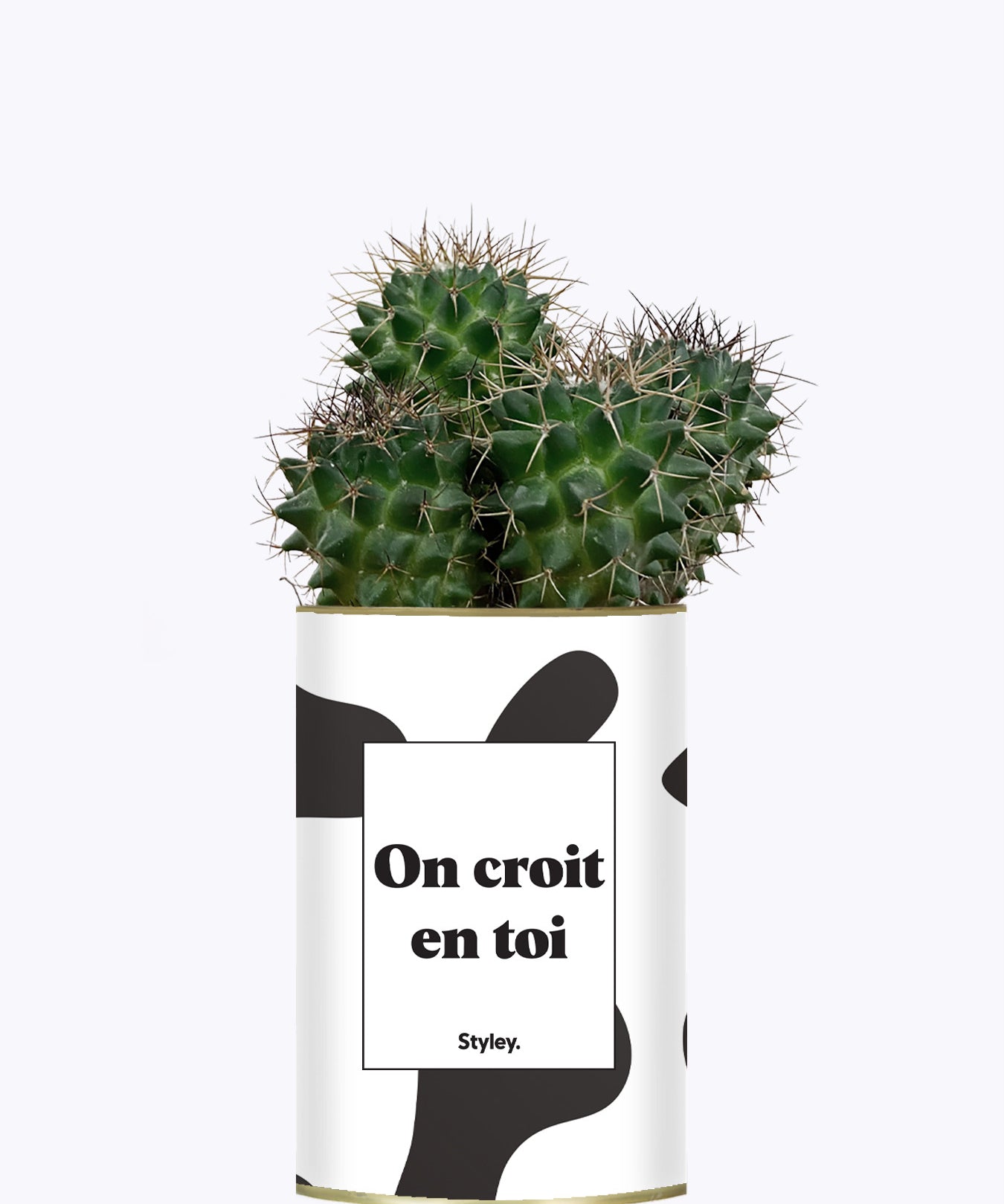On croit en toi - Cactus
