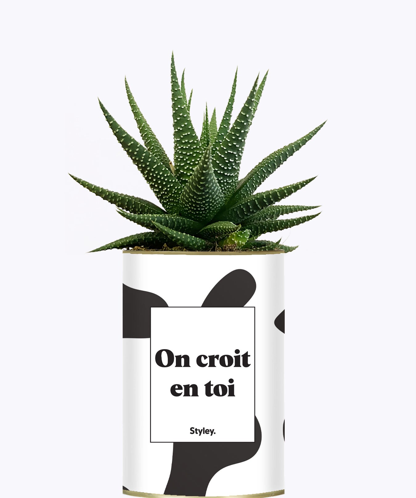 On croit en toi - Cactus
