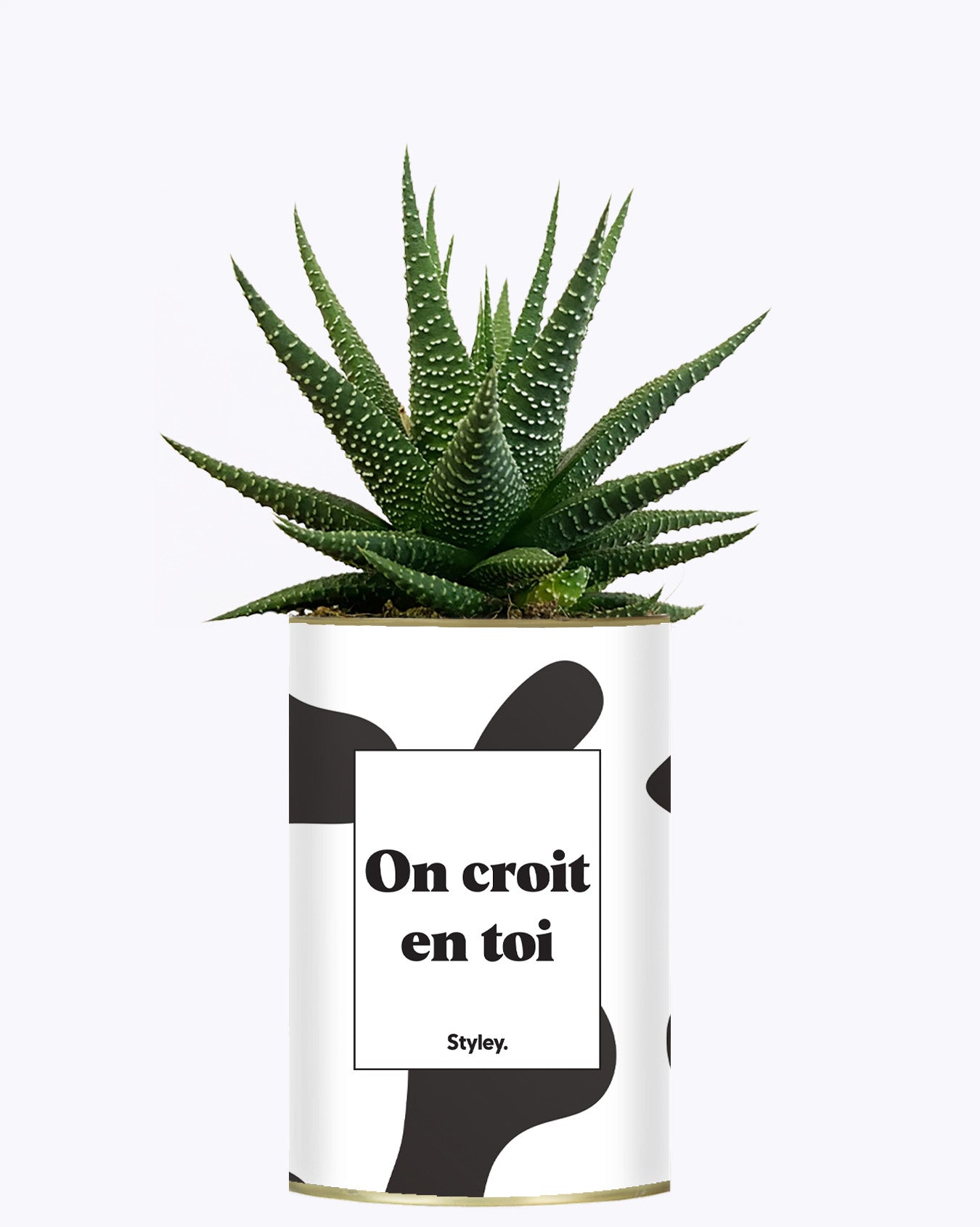 On croit en toi - Cactus