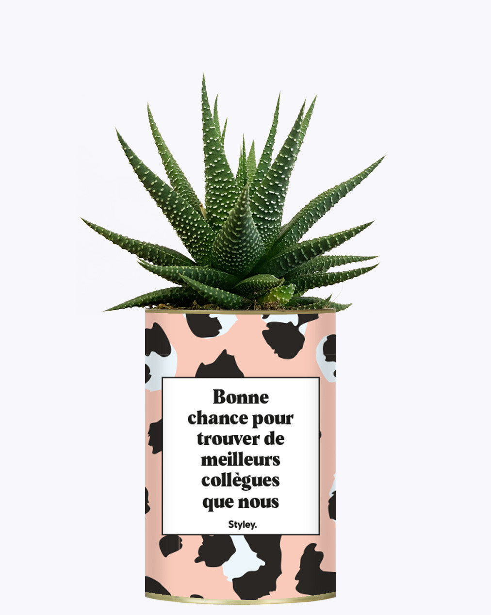 Bonne chance pour trouver de meilleurs collègues que nous - Cactus