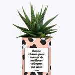 Bonne chance pour trouver de meilleurs collègues que nous - Cactus