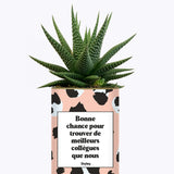 Bonne chance pour trouver de meilleurs collègues que nous - Cactus