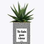 Te fais pas virer - Cactus