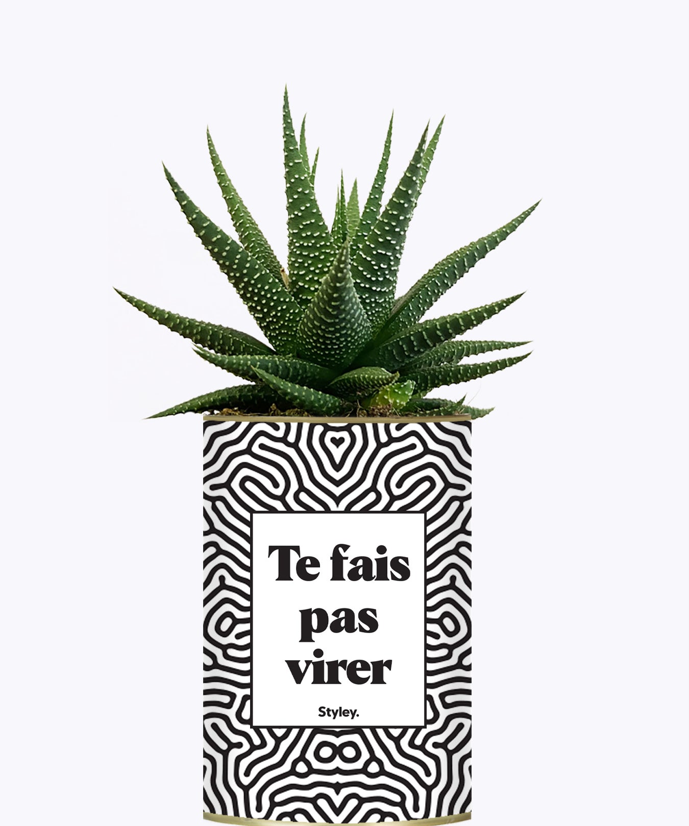 Te fais pas virer - Cactus
