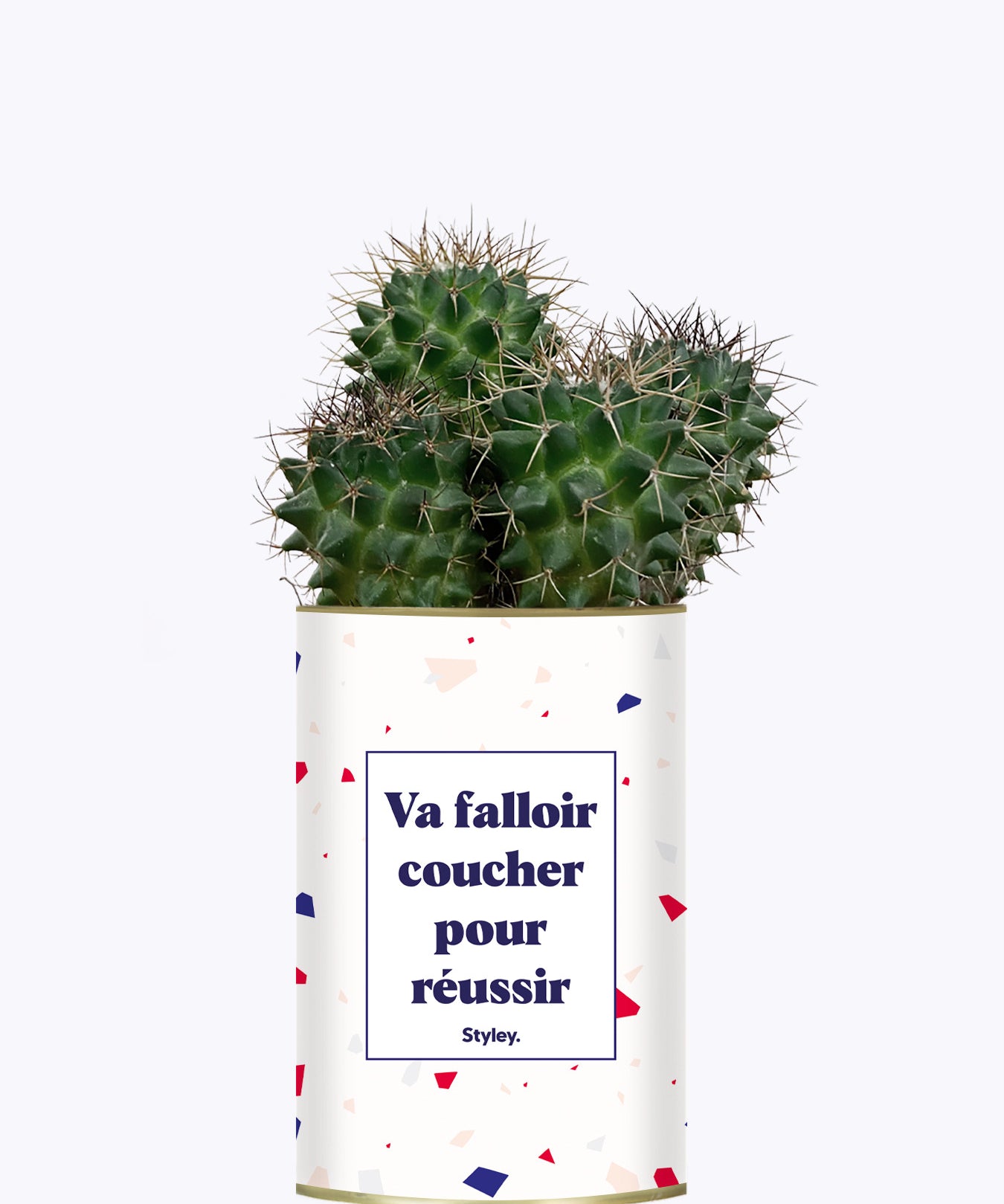 Va falloir coucher pour réussir - Cactus
