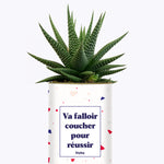 Va falloir coucher pour réussir - Cactus