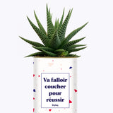 Va falloir coucher pour réussir - Cactus