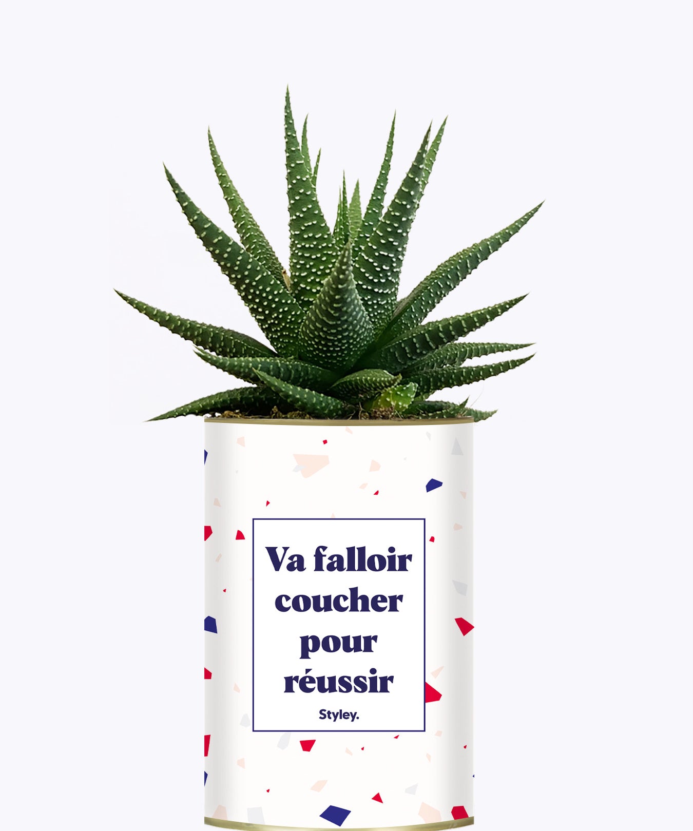 Va falloir coucher pour réussir - Cactus