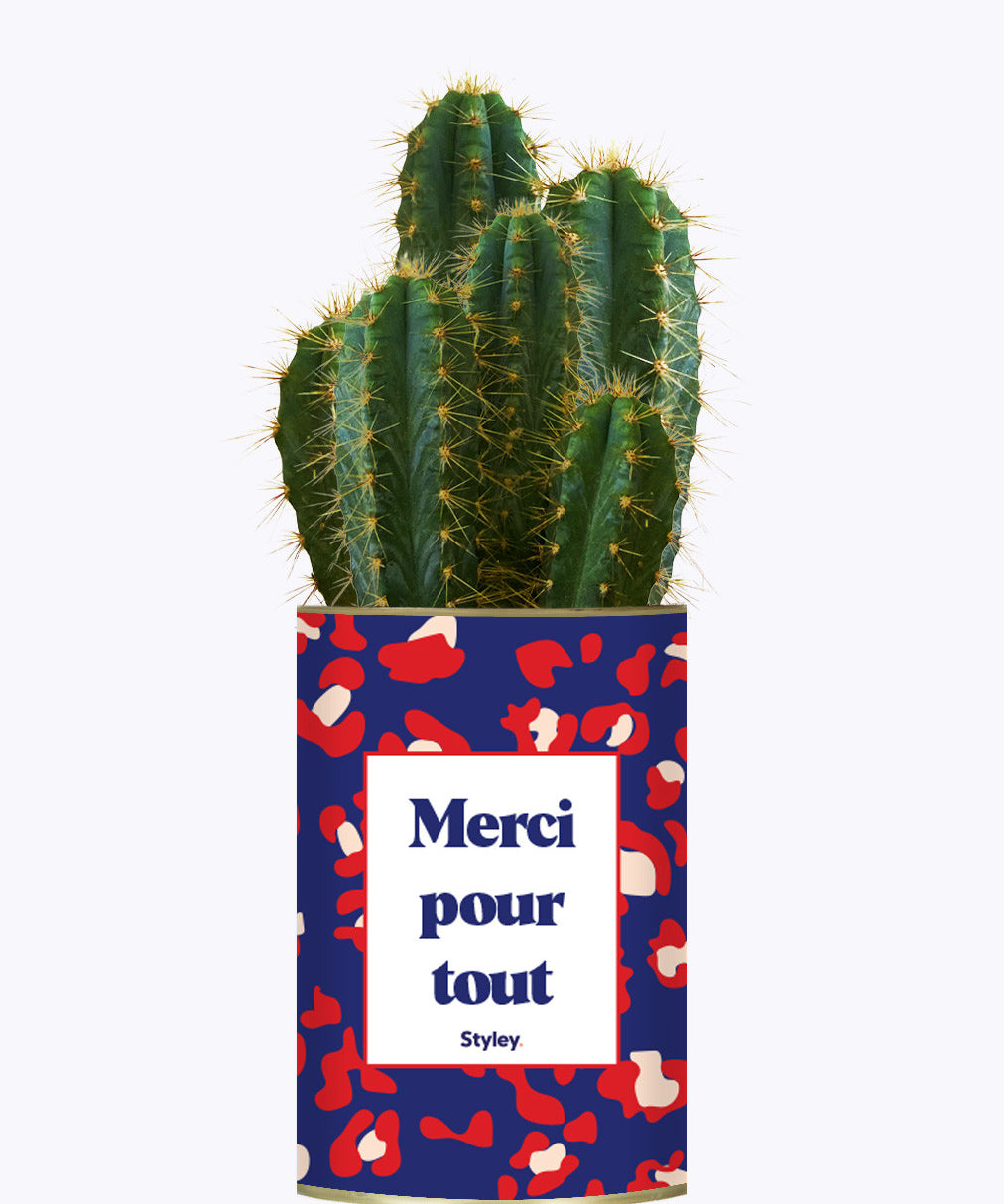 Merci pour tout - Cactus