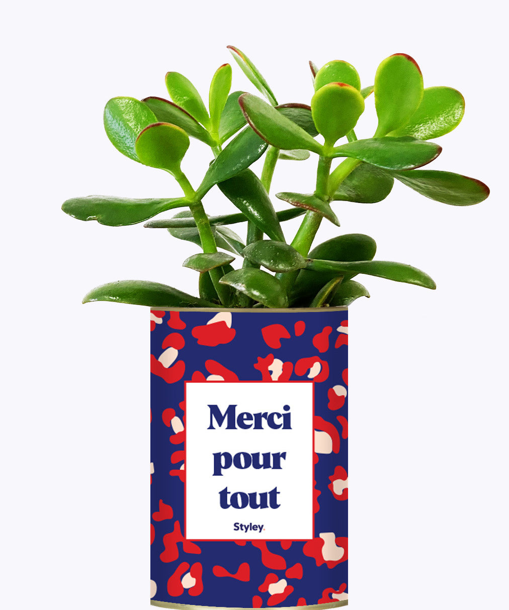 Merci pour tout - Cactus
