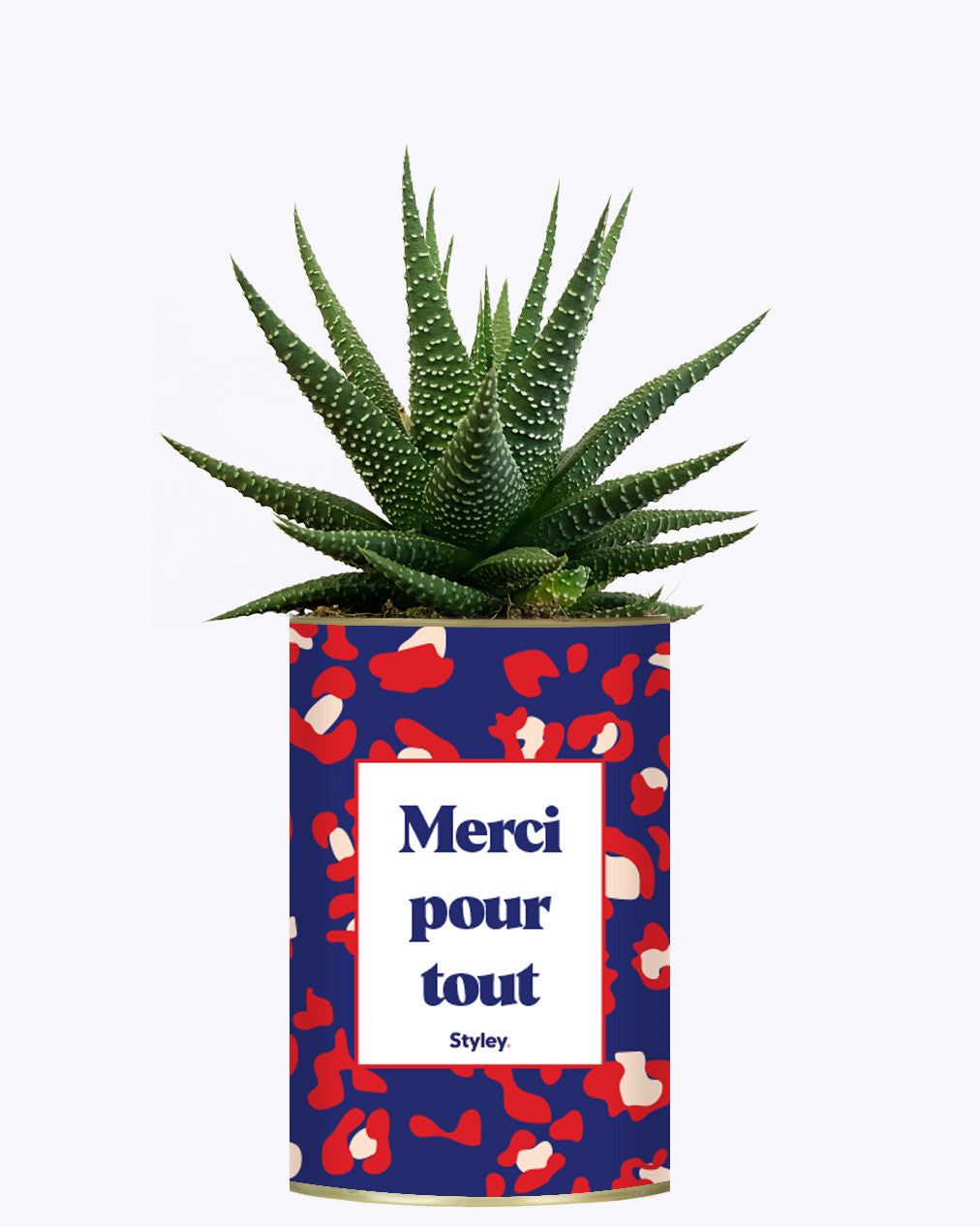 Merci pour tout - Cactus