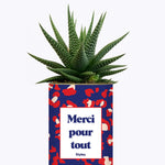 Merci pour tout - Cactus