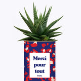 Merci pour tout - Cactus