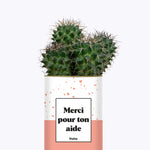 Merci pour ton aide - Cactus