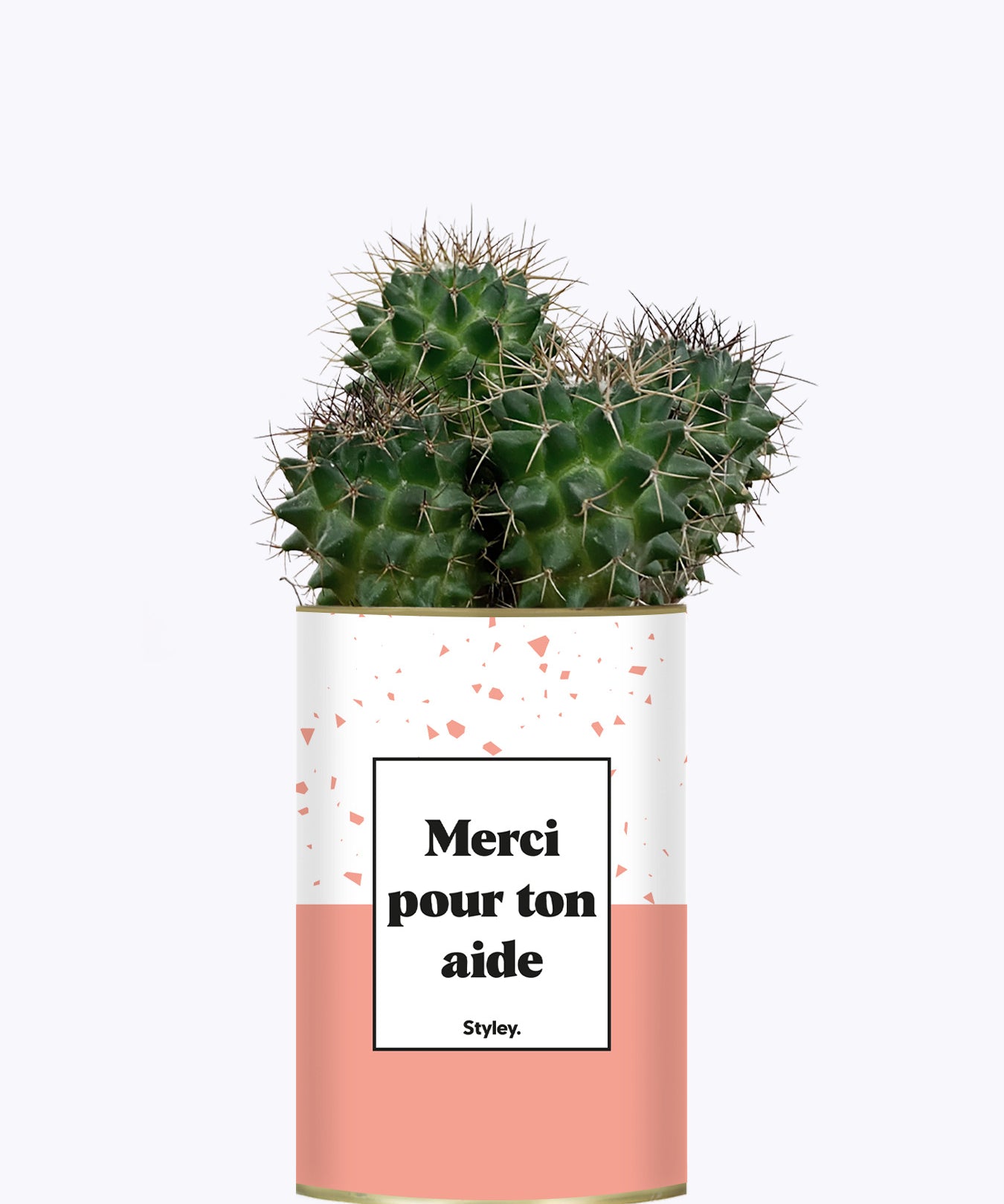 Merci pour ton aide - Cactus