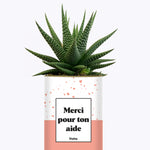 Merci pour ton aide - Cactus