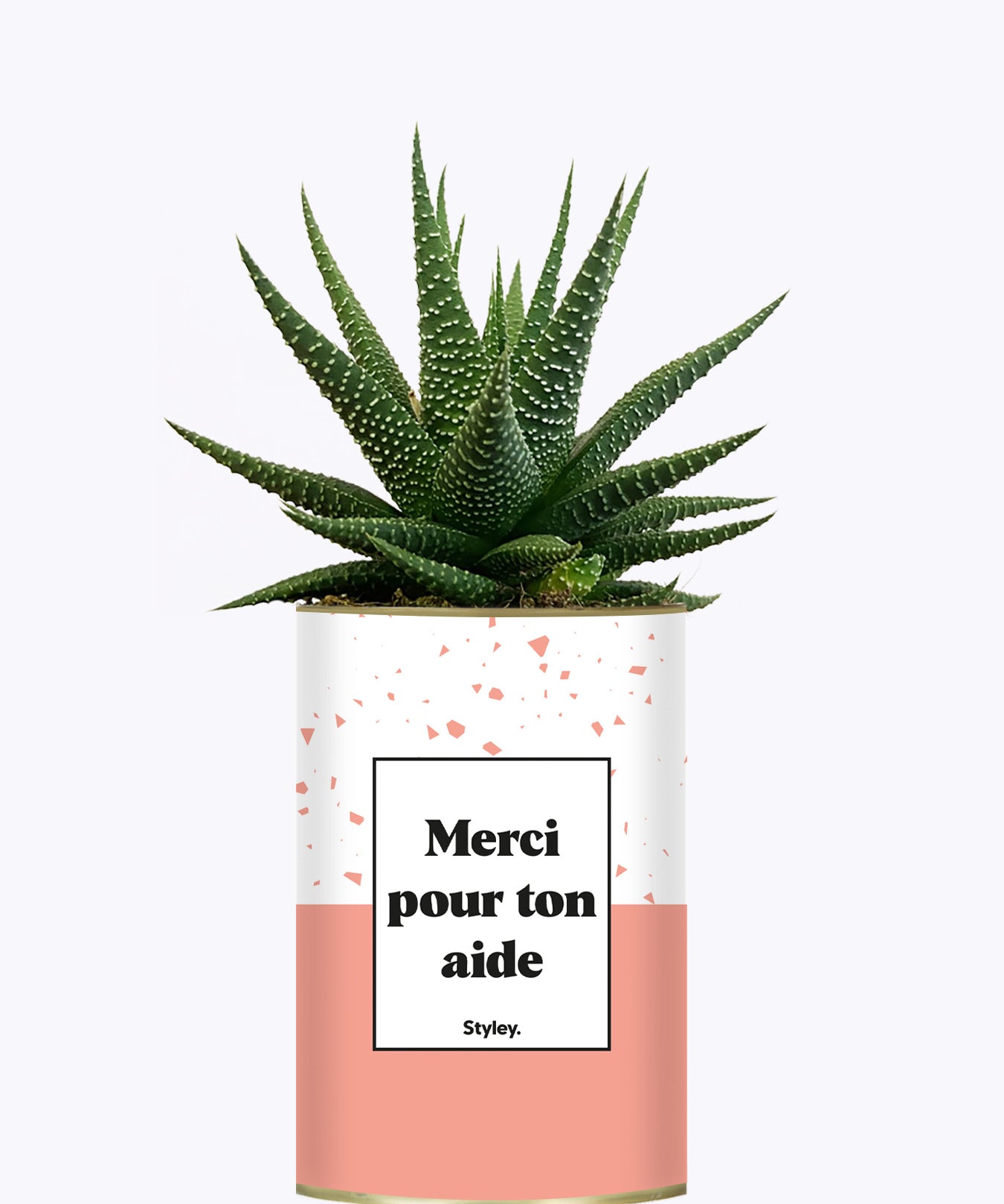 Merci pour ton aide - Cactus