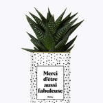 Merci d'être aussi fabuleuse - Cactus