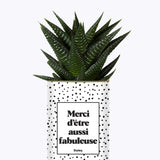 Merci d'être aussi fabuleuse - Cactus