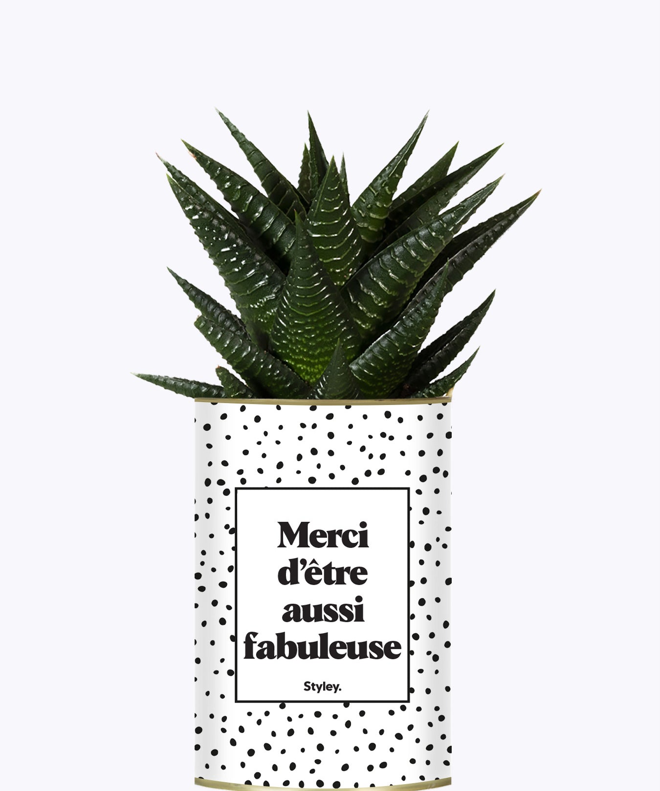 Merci d'être aussi fabuleuse - Cactus