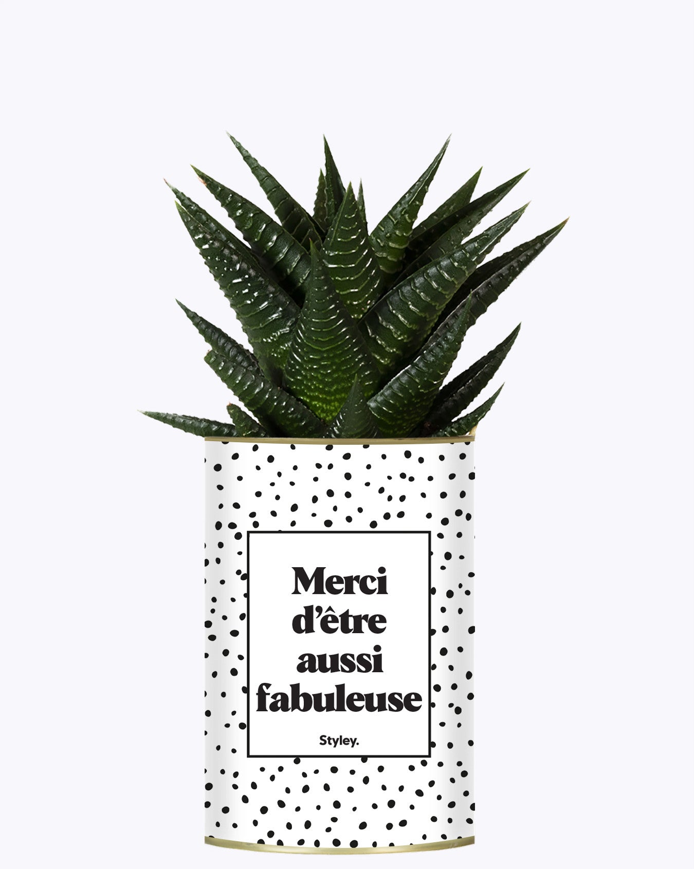 Merci d'être aussi fabuleuse - Cactus