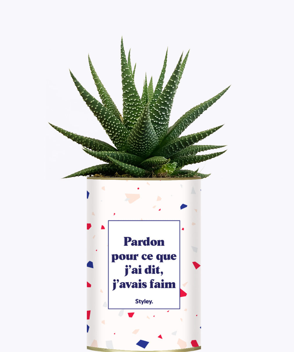 Pardon pour ce que j'ai dit, j'avais faim - Cactus