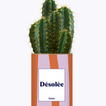 Désolée - Cactus