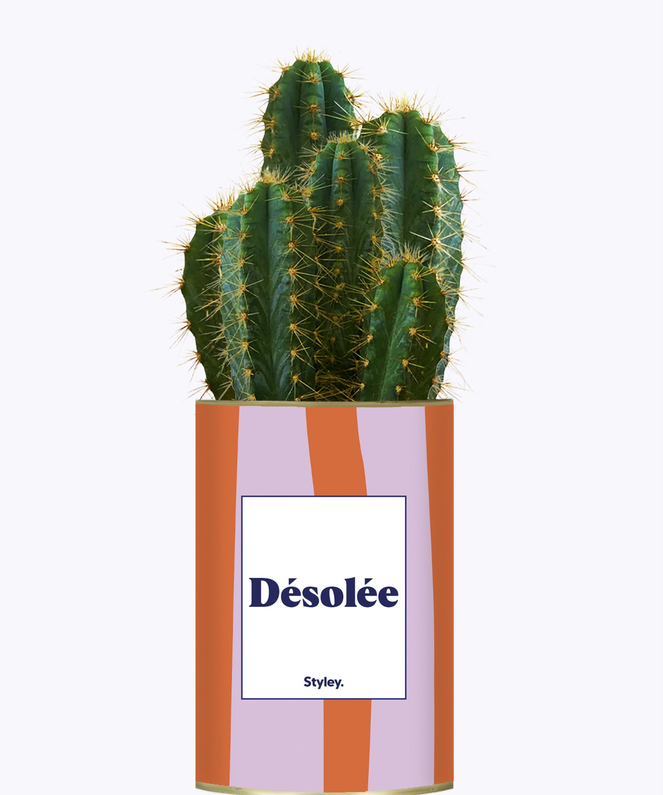 Désolée - Cactus