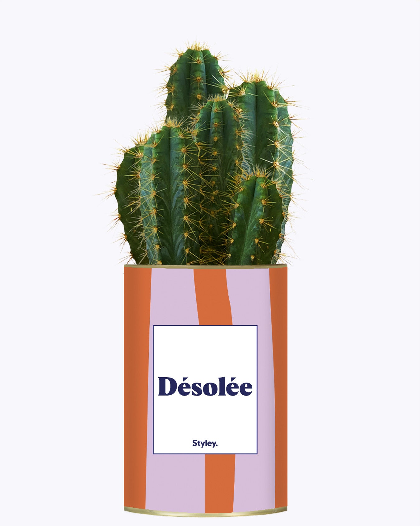 Désolée - Cactus