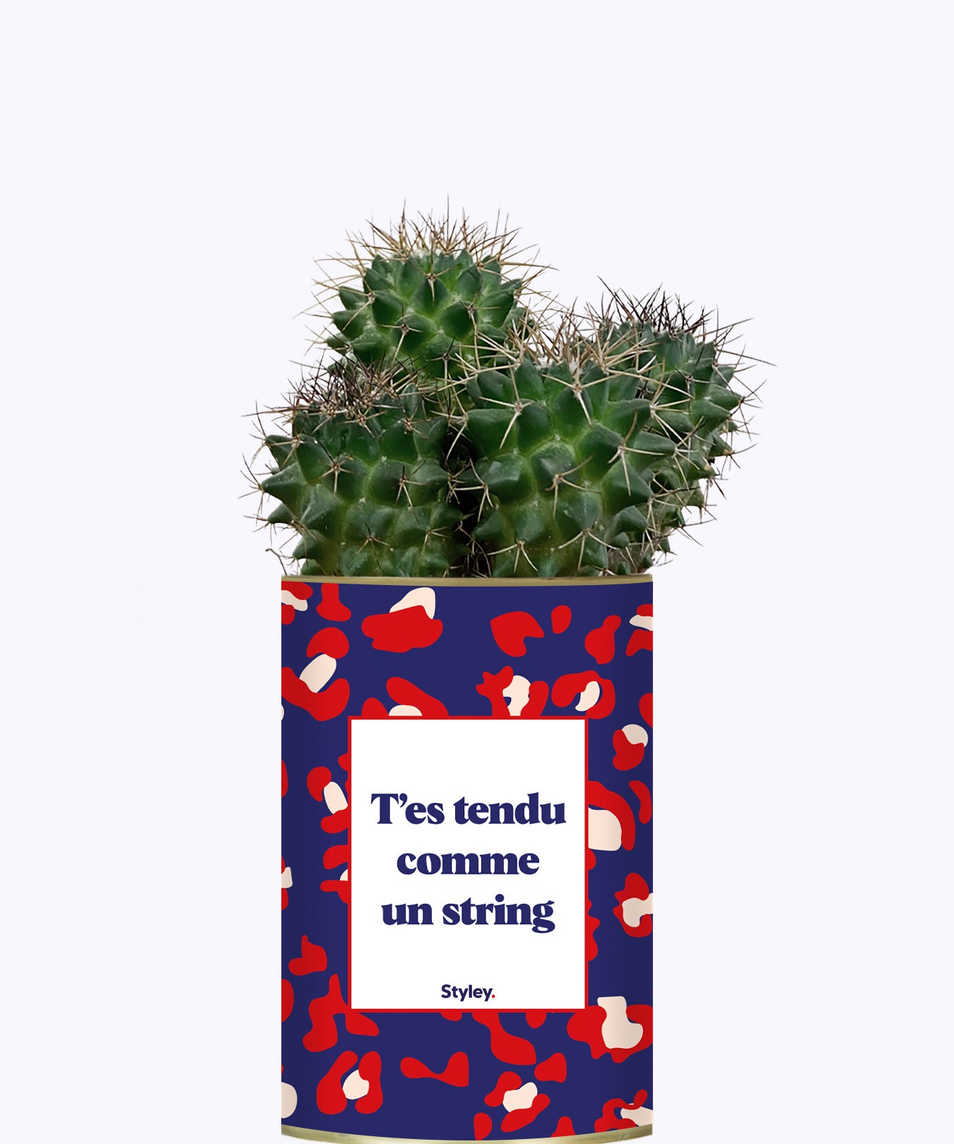 T'es tendu comme un string - Cactus