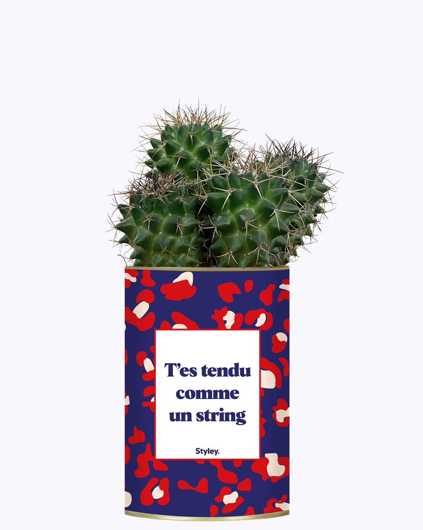 T'es tendu comme un string - Cactus