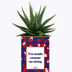 T'es tendu comme un string - Cactus