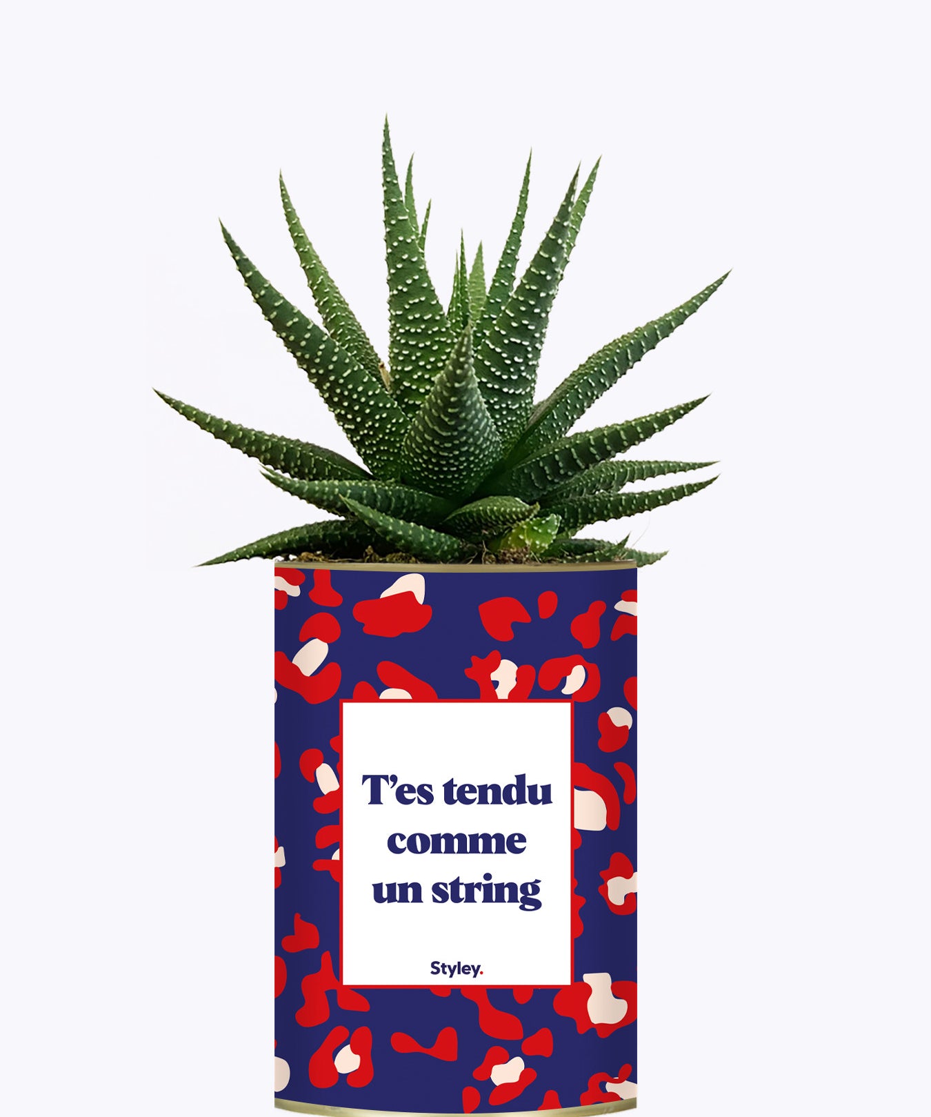 T'es tendu comme un string - Cactus