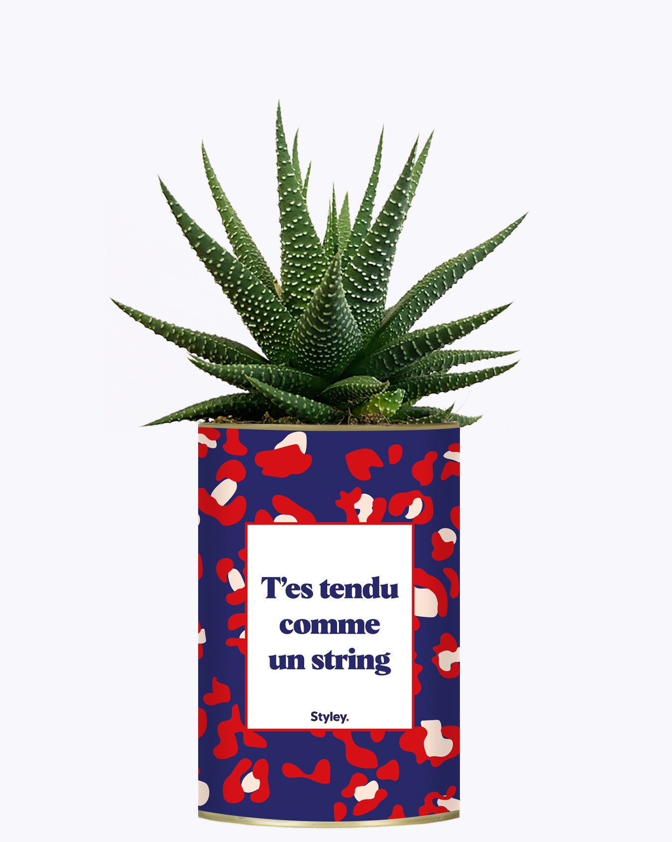 T'es tendu comme un string - Cactus