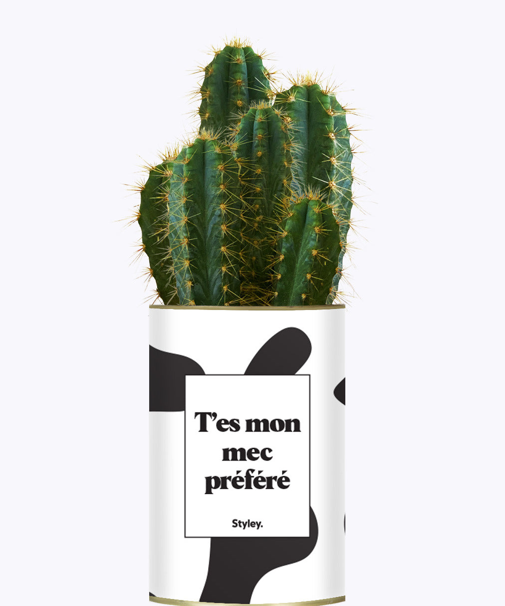 T'es mon mec préféré - Cactus