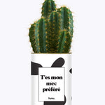 T'es mon mec préféré - Cactus