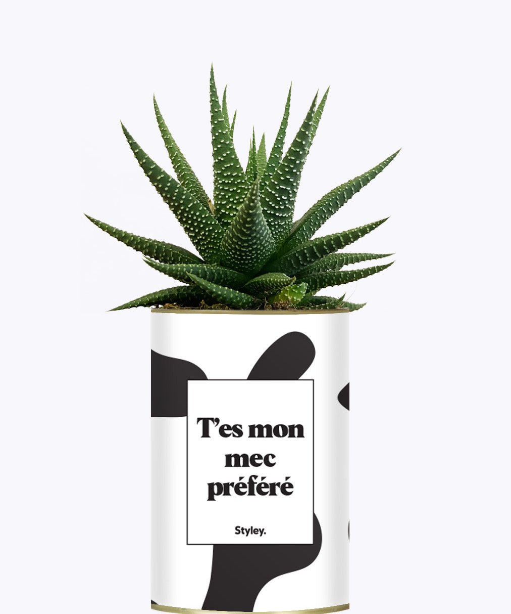 T'es mon mec préféré - Cactus