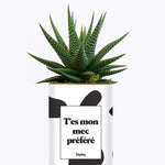 T'es mon mec préféré - Cactus